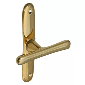 Stefania Alamă cu un scut turnat Fereastra in forma de T