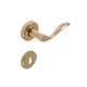 Moli Round rosette Brass BB