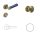 Linea Brass PZ Button/Handle