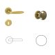 Futura Brass BB Button/Handle