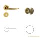 Claudia Brass WC Button/Handle