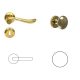 Mandeli Lord Brass BB Button/Handle