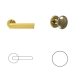 Exe Brass WC Button/Handle