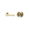 Amaro Italian Brass PZ Button/Handle