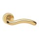 Fly Italian Round rosette Handle set Bright Brass surface BB