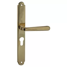 Italian Alt Wien Alamă 55 mm PZ