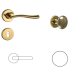Polaris Brass WC Button/Handle