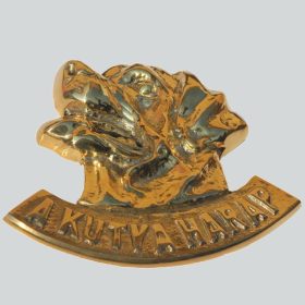 Hundebissschild einzigartiges Design Kupfer