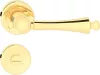 OLIVIA R ajtókilincs klasszikus rozettás fényes sárgaréz színű WC