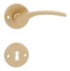 Lana Round Rosette Gold Handle WC