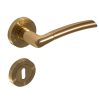 Figo Round rosette Brass color Only handle on top rosette