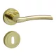 Figo Round Rosette Brass color BB