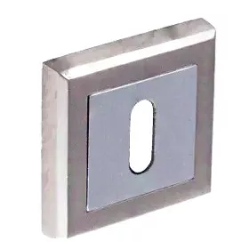   Quadratische Rosette (Stil alter Trend) satinierte Chromoberfläche BB Schlossabdeckung von unten nach oben