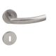 Stainless steel WC Asymmetrical Button/Handle