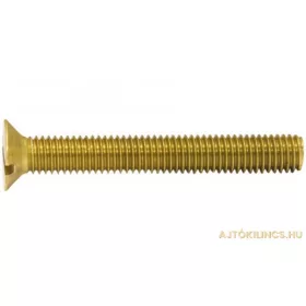 Surub M4x25mm Galvanizat