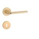 APRILE OLEANDRO Kreis R SLIM 7MM GOLD SATIN Satin Gold farbe BB