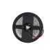 Led szalag CCT 24W/m 24V 5m