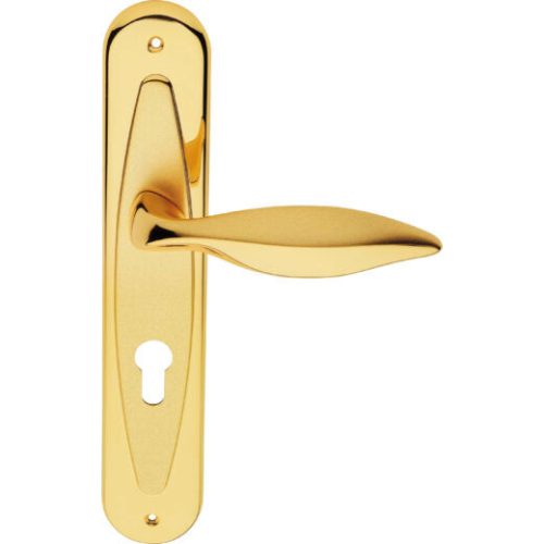 Linea Cali Delfino bright gold / matte gold shielded handle set 955 PL OM