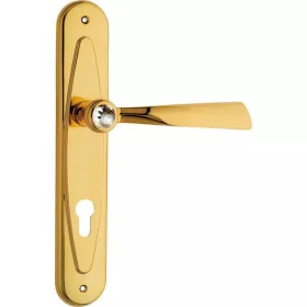   Linea Cali Elika Set mâner ecranat cu cristal aurit 991 PL OZ