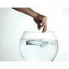 Linea Cali Fish Crystal, auriu strălucitor, set de mânere rotunde pentru rozetă 700 RB 023 OZ
