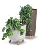 Blumenkasten für den Außenbereich Gracia Kaffee Dgtl240W-4625W - 239X445X239Mm