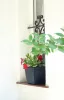Flower Pot with Base Square. Anthracite Dkwt37,Pkwt34-S433 - 370X300X370Mm