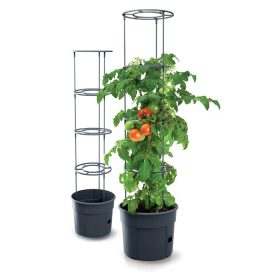   Blumentopf Tomatenpflanzer S.Anthrazit Ipom400-S433 392X1530Mm