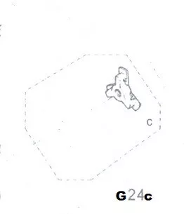 Aplicator de drujbă Star Flyweight G24C