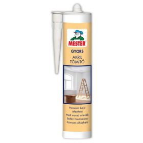   Acryl-Schnellversiegelung, 310 ml, überstreichbar, Weiß, Master