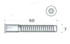 Comprimat Screw Bkny Hole. 7,0*60 mm
