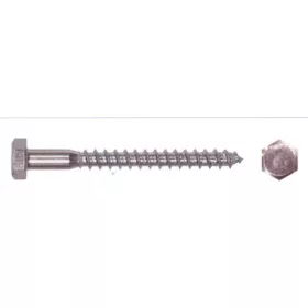 Vijak za oder pocinkano 100Pcs/Cs 6*70 mm
