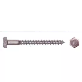 Vijak za oder pocinkan 100Pcs/Cs 6*120 mm