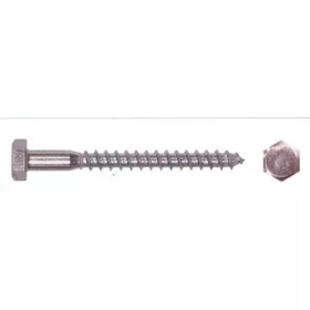 Vijak za oder pocinkan 100Pcs/Cs 10*50 Mm