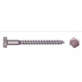 Vijak za oder pocinkan 100Pcs/Cs 10*60 Mm