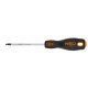 Schraubendreher Torx T15*100Mm Neo Tools