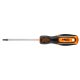 Schraubendreher Torx T25*100Mm Neo Tools